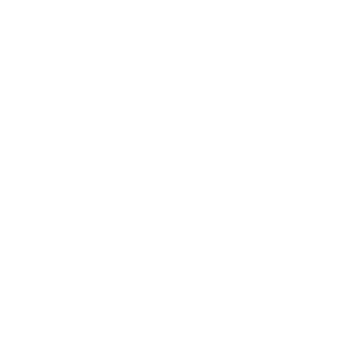 Network Icon